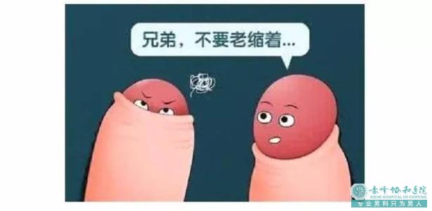 金华市婺城区哪个医院割包皮好